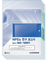 2009년 NPE 연구 보고서