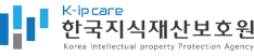 한국지식재산보호원