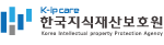 한국지식재산보호원